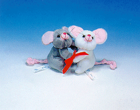 COUPLE OF MOUSE